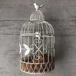 Decorative Metal Bird Cage